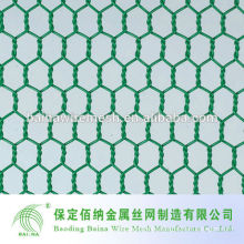 The chaepest Chicken Hexagonal Knotted Wire Mesh